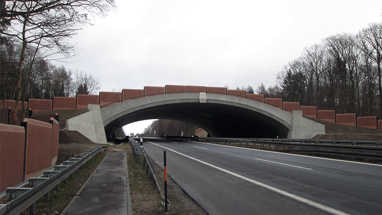 Grünbrücke A11 750x422